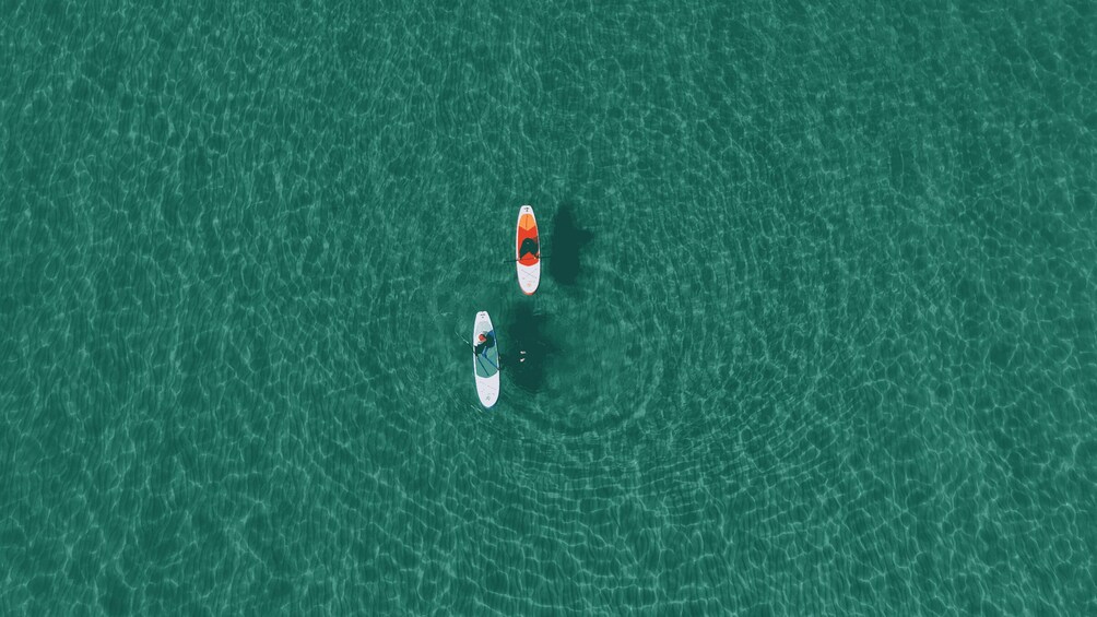 Two paddleboards on a calm, clear body of water. 3