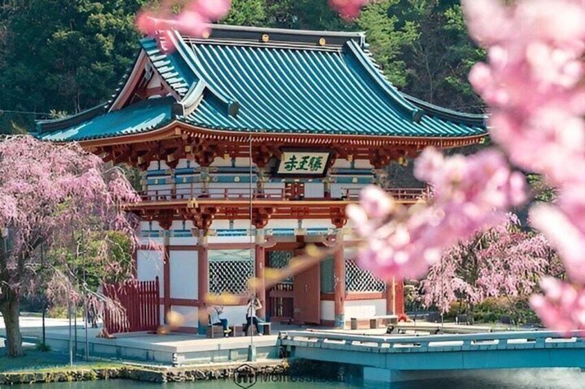 A traditional Korean building with a green roof and wooden architecture, surrounded by cherry blossoms. 3