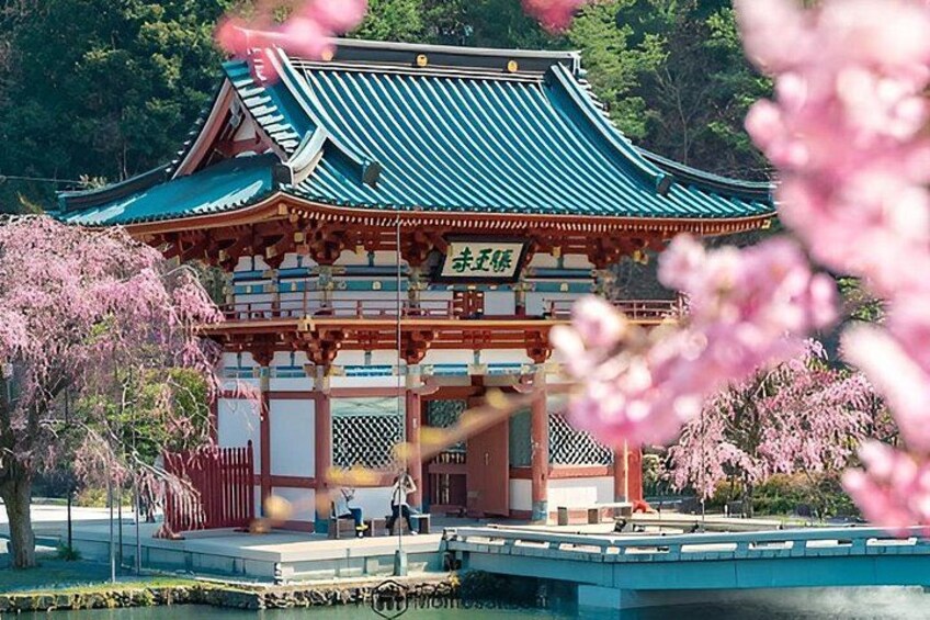 A traditional Korean building with a green roof, surrounded by cherry blossoms. 2