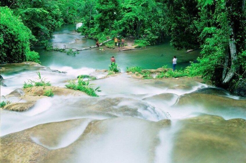 A river with a rocky foreground and lush greenery in the background. 5