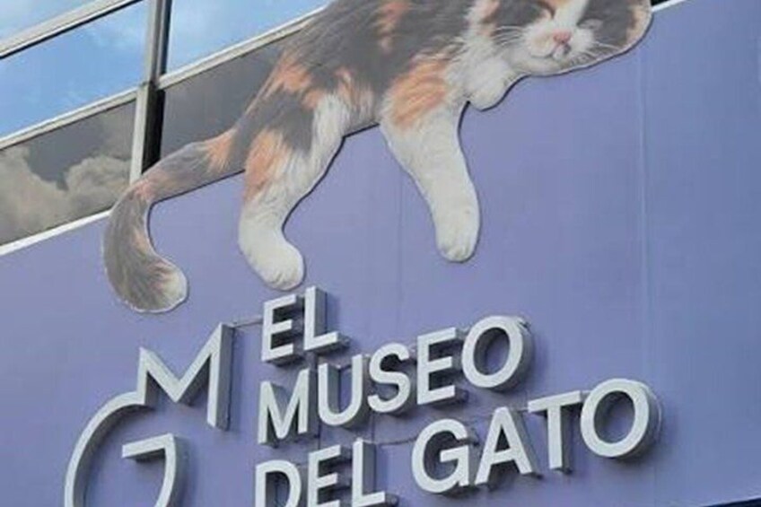 A building with a sign that reads 'El Museo del Gato' and a cat illustration. 2