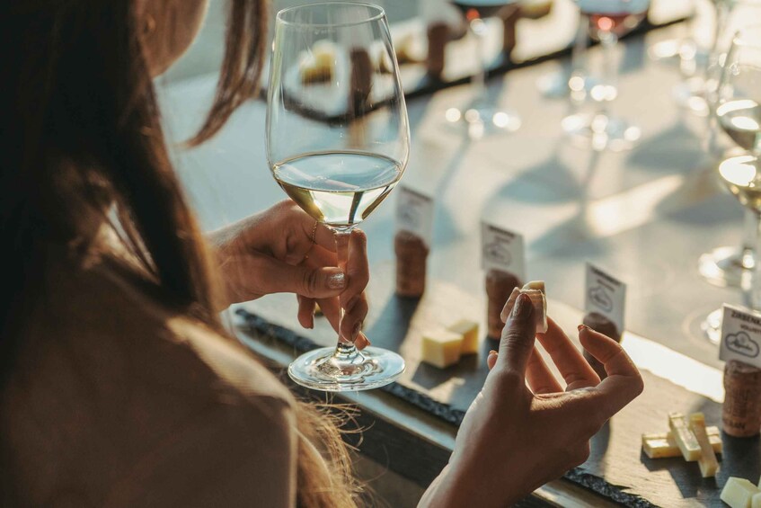 A person holding a wine glass at a bar with cheese and crackers. 2