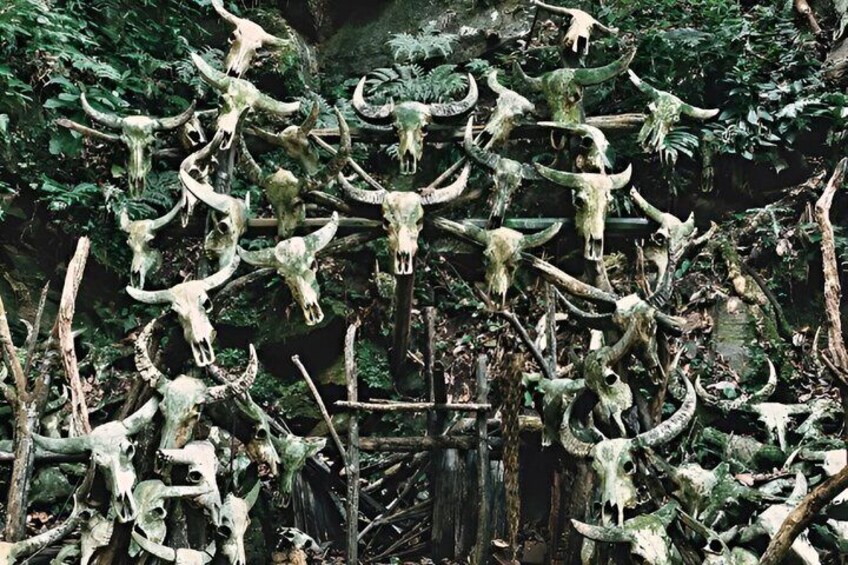 A dense forest with numerous deer skulls arranged in a chaotic pile. 4