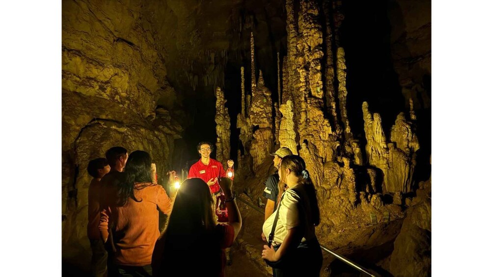 A group of people inside a cave with stalactites. 3
