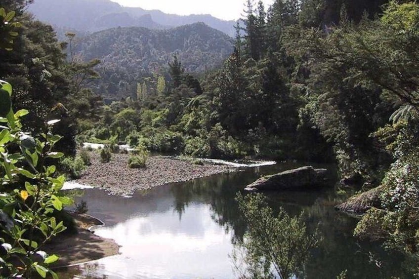 A river surrounded by dense forest and mountains. 5