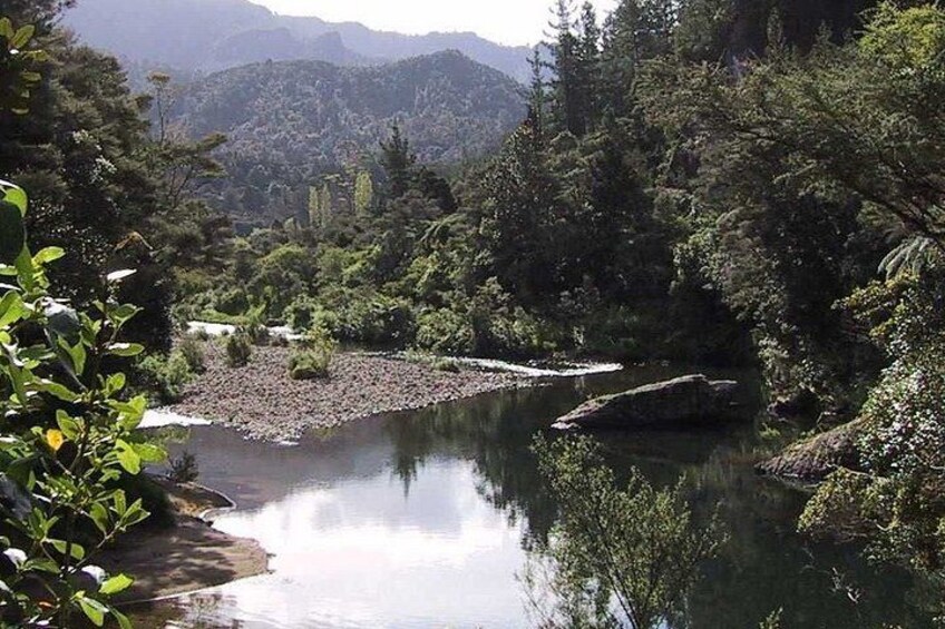 A river surrounded by dense forest and mountains. 2