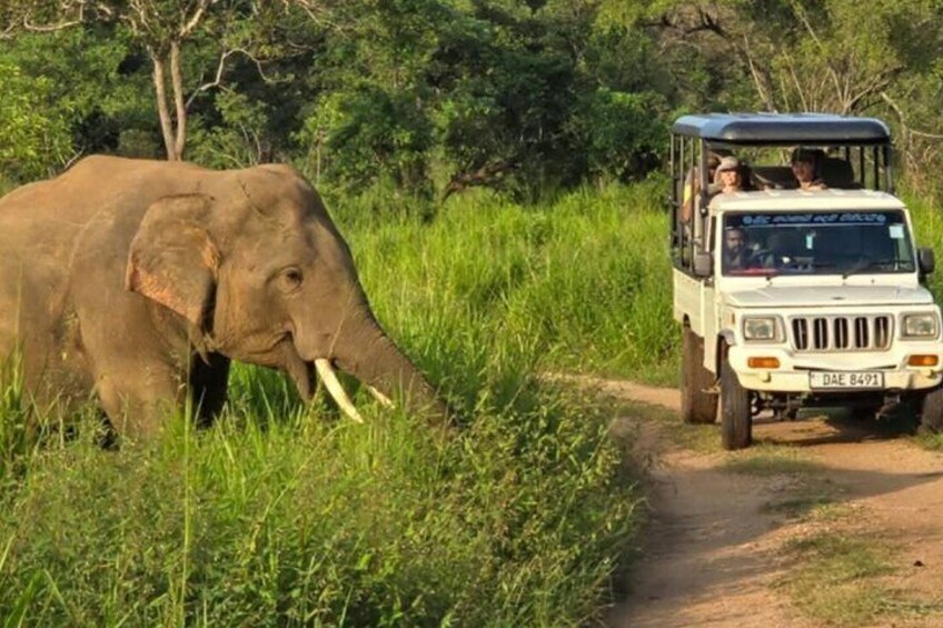 An elephant walking on a dirt path with a safari vehicle in the background. 1