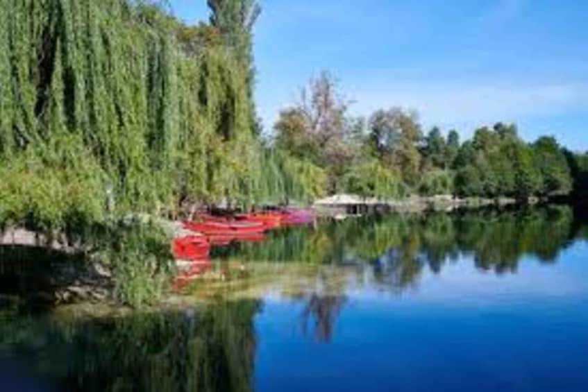 A calm river with a weeping willow tree and a red boat. 3