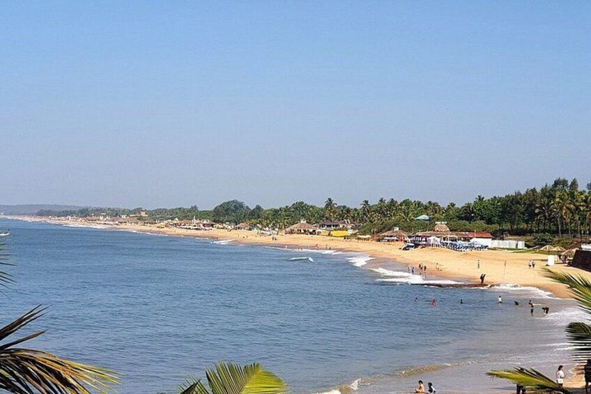 A beach with clear blue water, sandy shore, and palm trees. 4