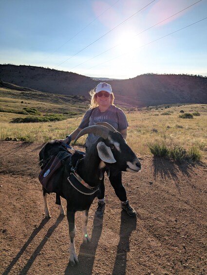 A person with a goat in a field with hills in the background. 4