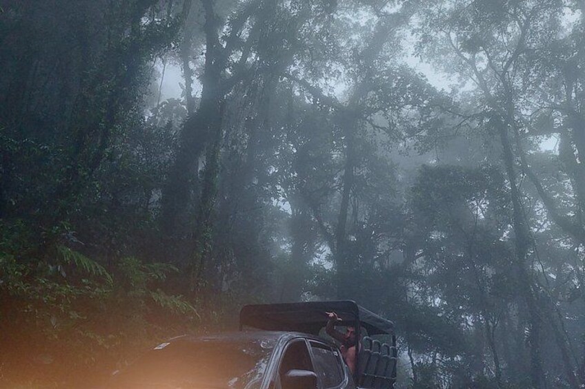 A vehicle in a forested area with dense trees and fog. 4