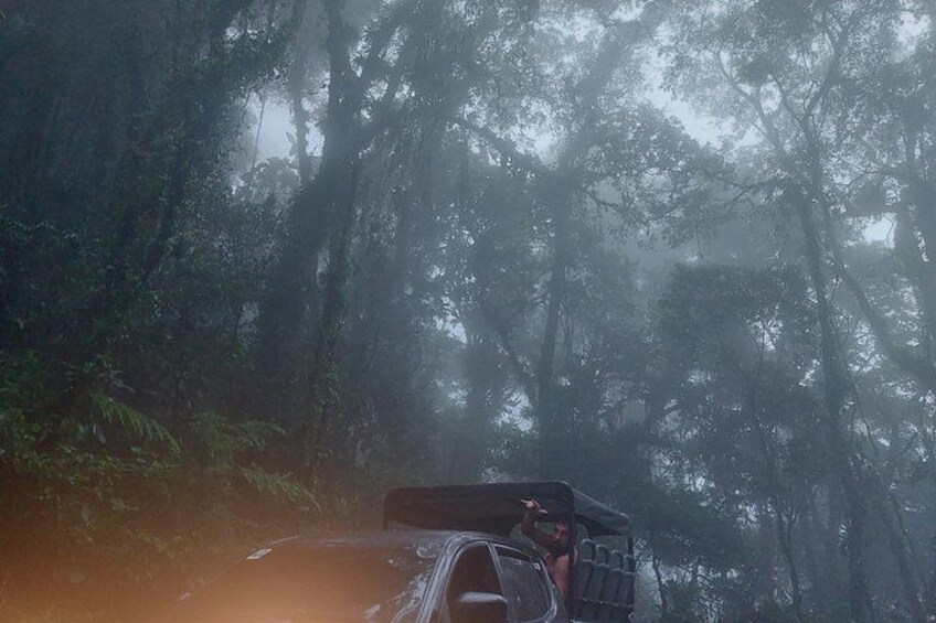 A vehicle in a forested area with dense trees and fog. 3