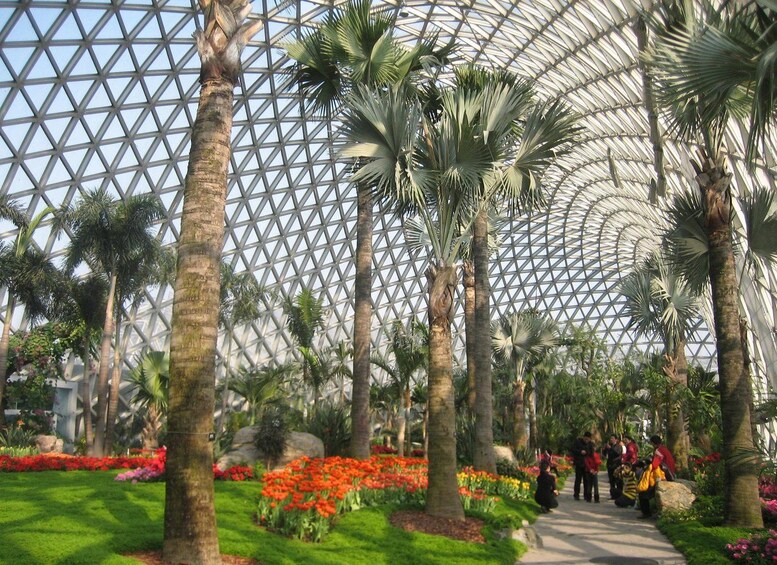 A greenhouse with a geodesic dome structure, palm trees, and a pathway with people walking. 3
