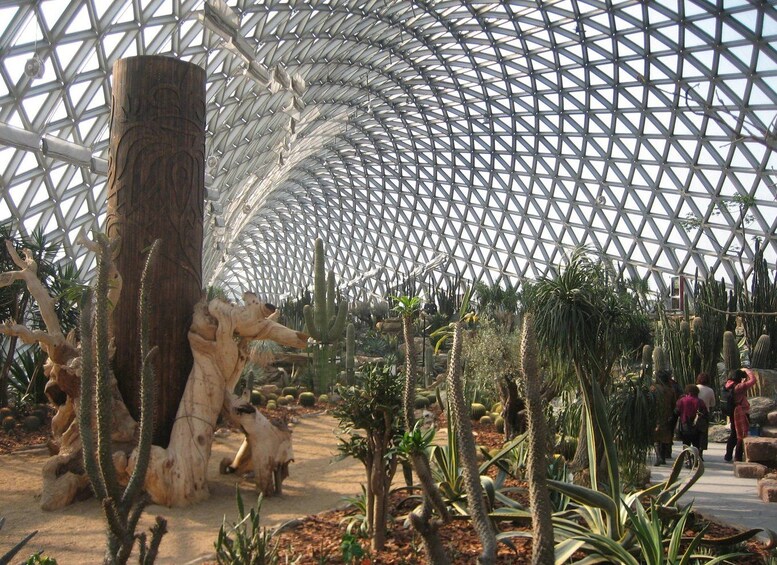 A large cactus garden with a geodesic dome roof. 2