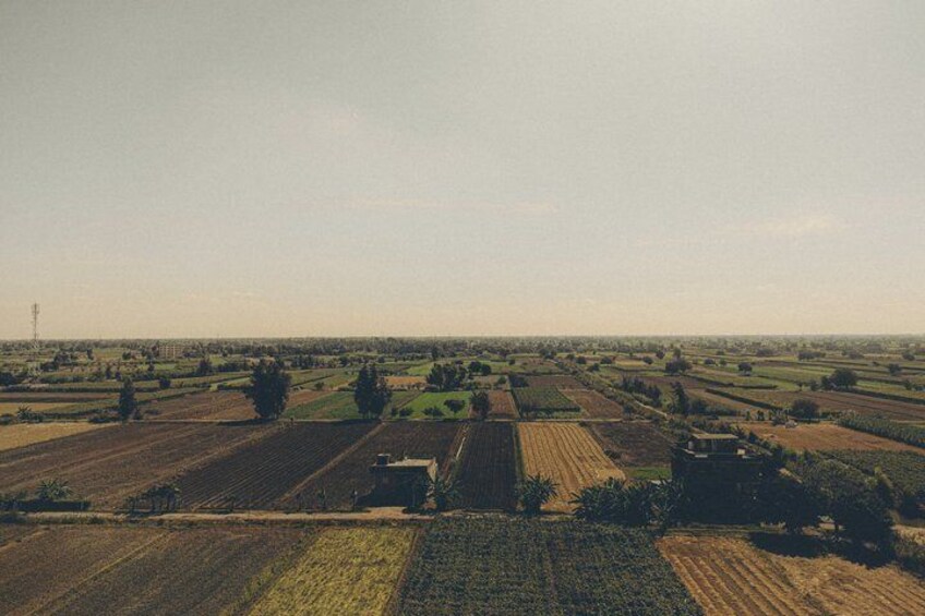 A rural landscape with fields, a few scattered trees, and a distant power line. 5
