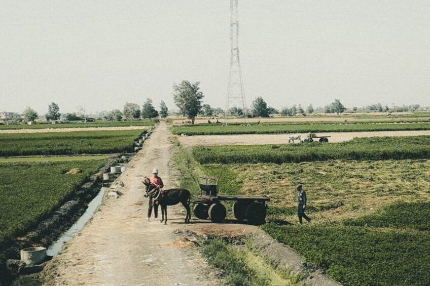 A rural landscape with a dirt path, fields, a person on a horse, and a large structure in the distance. 2