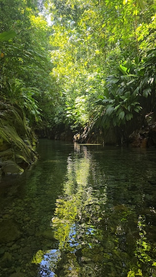 A river with clear water, surrounded by dense green foliage and rocky banks. 2