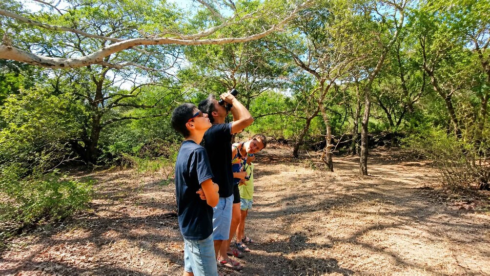 Two people using binoculars in a forested area. 1