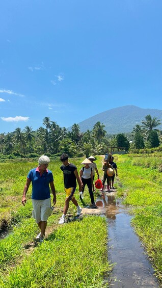 A group of people walking along a path in a lush green field with a mountain in the background. 2