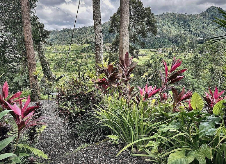 A lush green landscape with a gravel path, surrounded by tropical plants and trees. 3