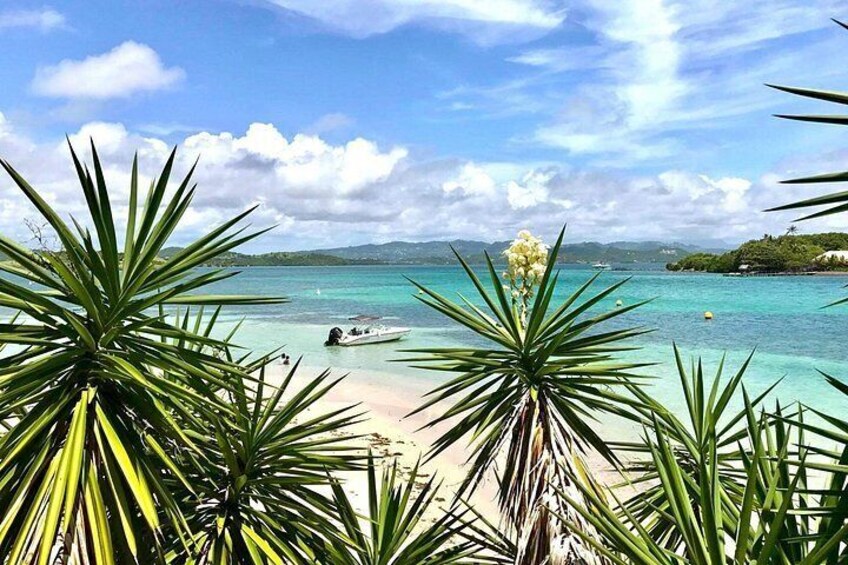 A beach with clear turquoise water, a small boat, and tropical plants. 1