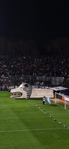 A soccer field with a large inflatable shark mascot in the center, a goalpost, and a crowd of spectators in the background. 5