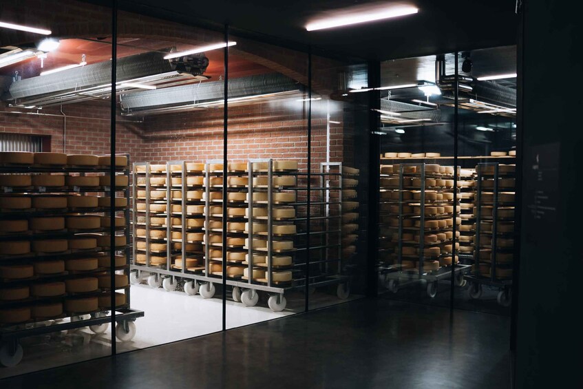 A storage room with shelves of cheese wheels, a brick wall, and industrial lighting. 4