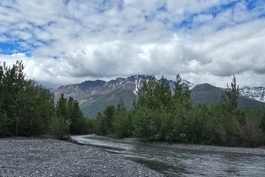 A river flowing through a forest with mountains in the background. 4