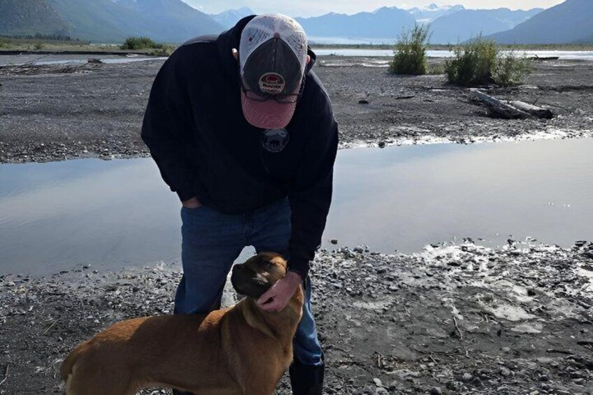 A person petting a dog on a rocky shore with mountains in the background. 3