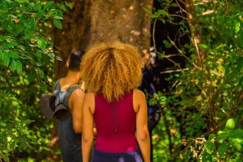 A person with curly hair walking through a forested area. 4