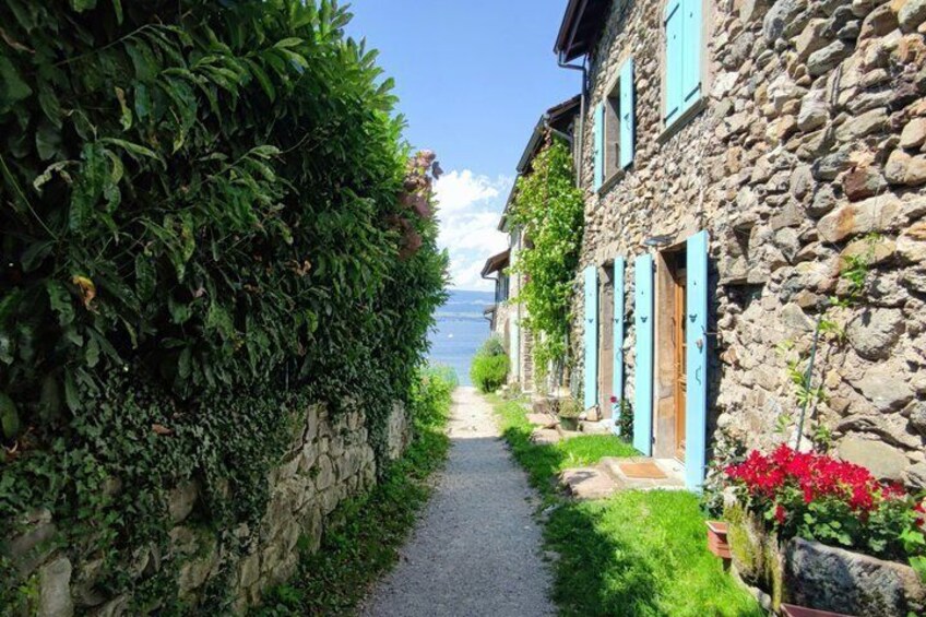 A narrow stone pathway flanked by lush greenery and traditional stone buildings with blue shutters. 2