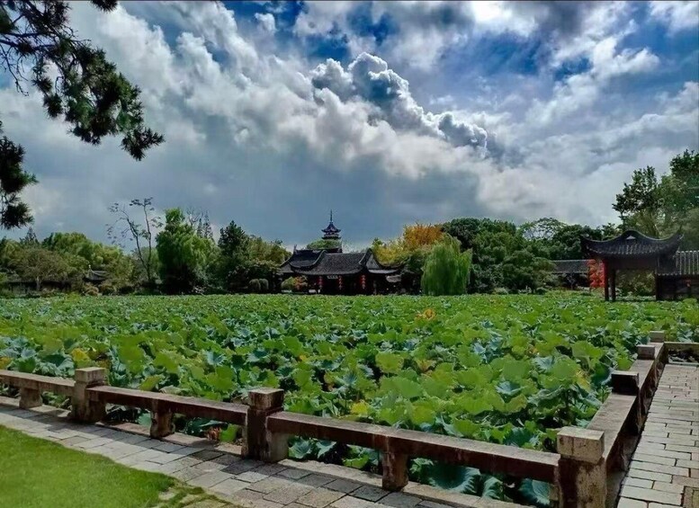 A traditional pagoda, lotus pond, and wooden walkway. 2
