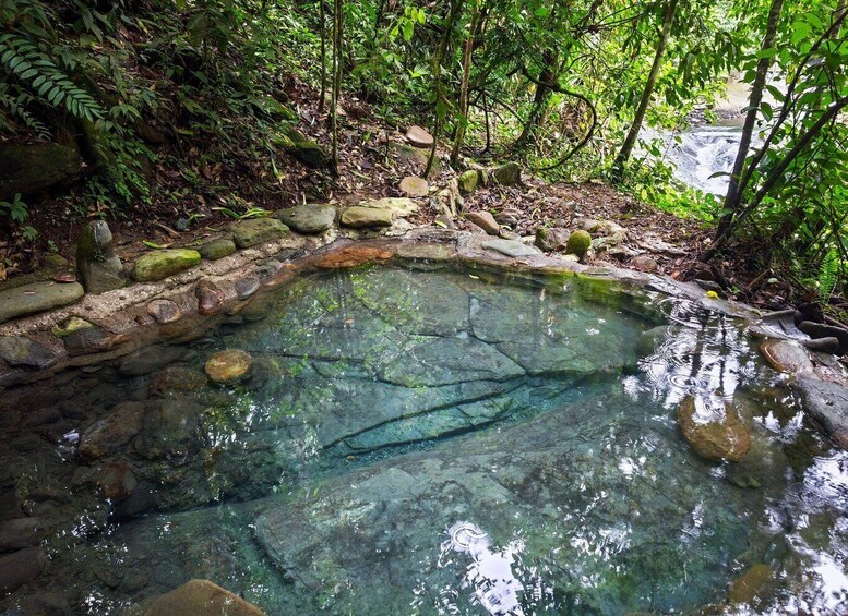 A natural spring surrounded by rocks and foliage. 5