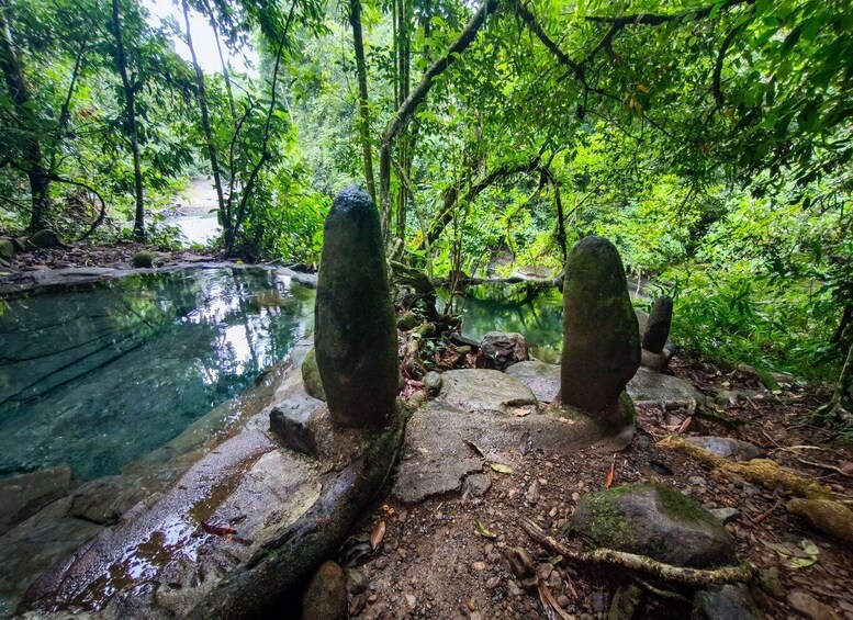 A serene forest scene with a clear water body, surrounded by lush greenery and large rocks. 4