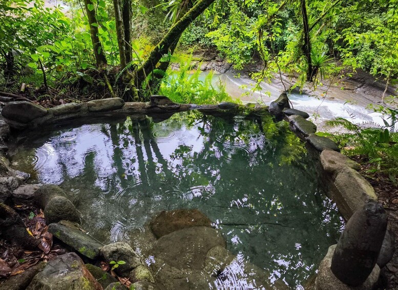A natural pond surrounded by rocks and lush greenery. 2