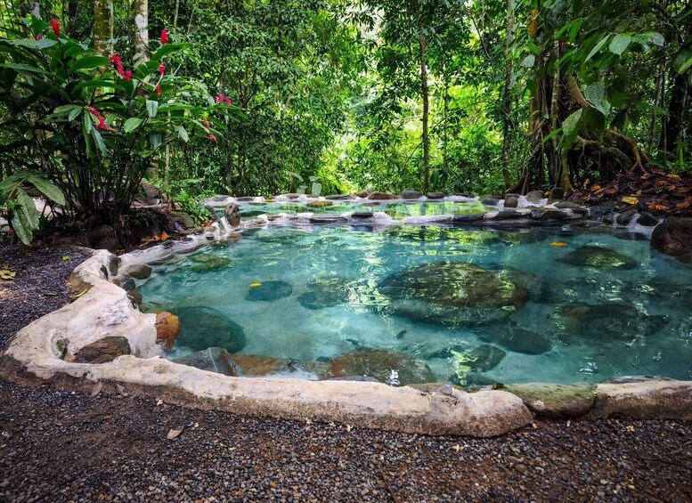 A clear pool surrounded by rocks and lush greenery. 1