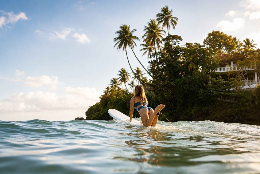 A person in a bikini walking on a surfboard in the ocean with palm trees and a building in the background. 2