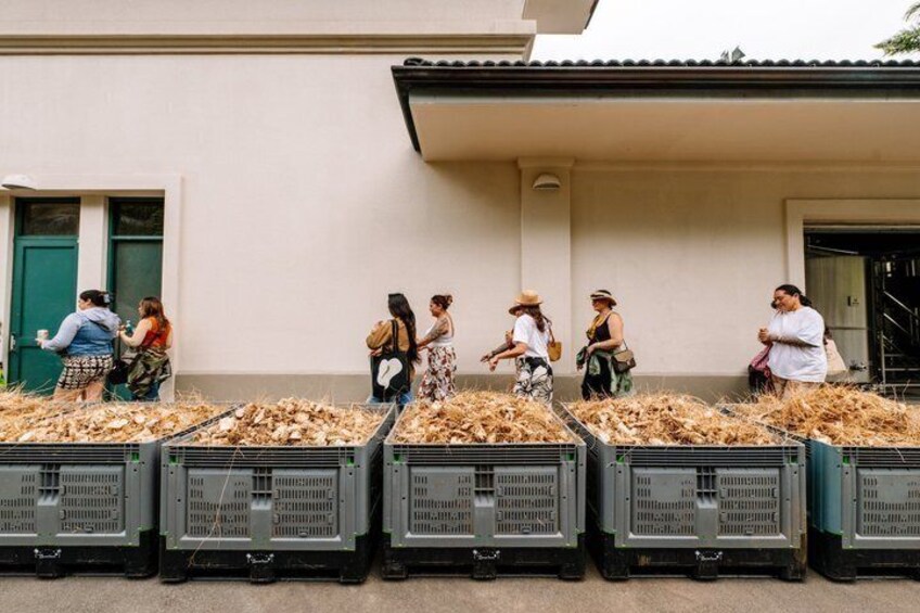 People unloading crates of dried corn near a building. 4