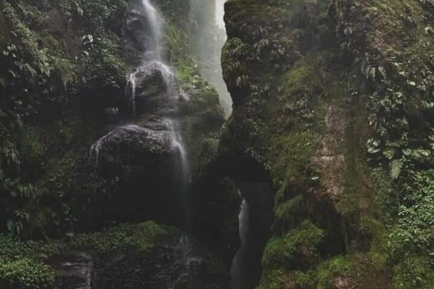 A waterfall cascading down a rocky cliff surrounded by lush greenery. 3