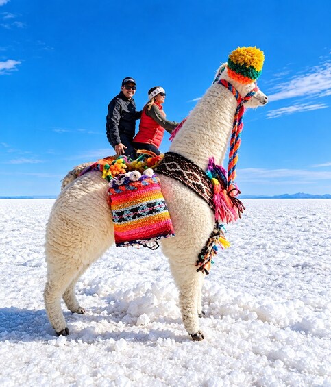 A llama with colorful decorations, a person in a red vest, and another in a black jacket standing on a snowy plain. 2