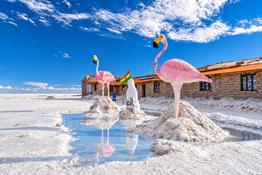 Three pink flamingos standing on white salt formations with a clear blue sky and a building in the background. 4