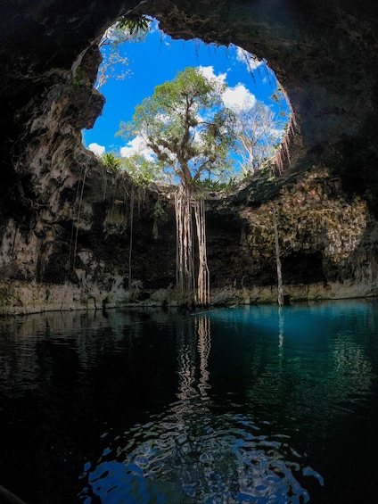 A cave with a tree in the center, water at the bottom, and a clear blue sky above. 2