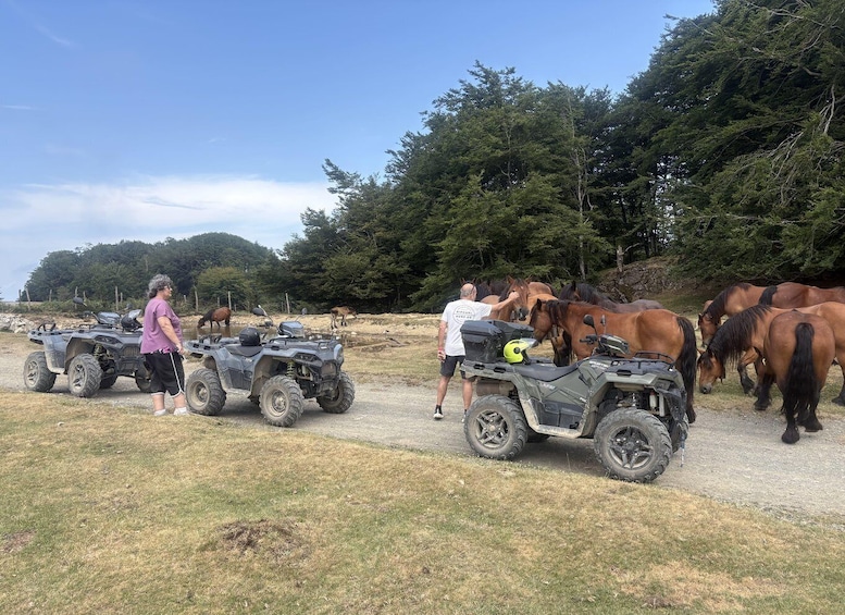 A group of people with ATVs near horses in a rural setting. 4