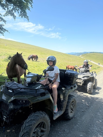 A person on an ATV in a grassy field with horses in the background. 3
