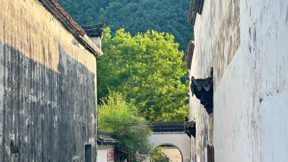A narrow alley with traditional architecture, a large tree, and a mountain in the background. 3