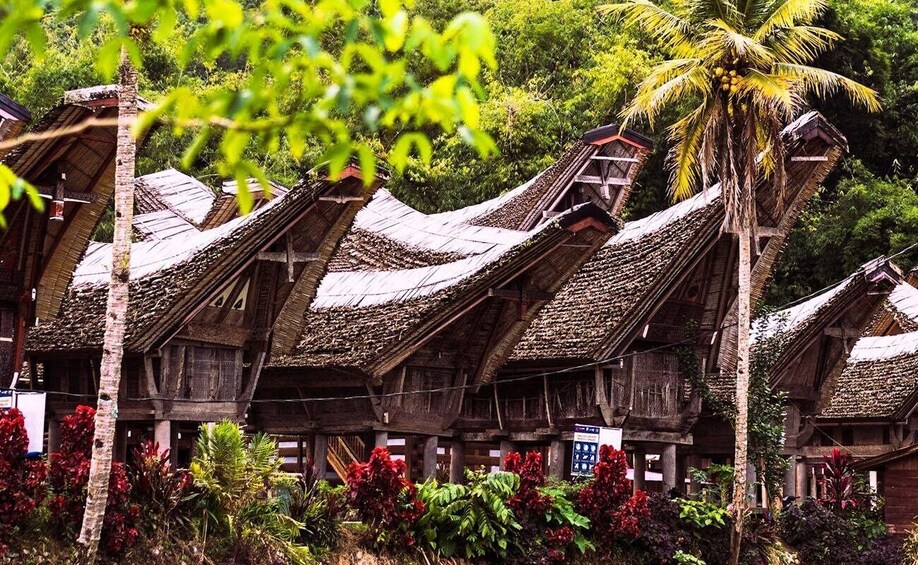 Traditional wooden houses with thatched roofs, surrounded by lush greenery and flowering plants. 1