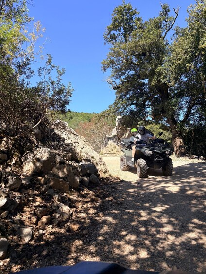 A person riding an ATV on a rocky trail surrounded by trees. 2
