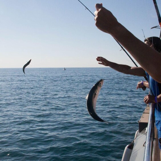 A person on a boat fishing, with a fish being reeled in and another flying above the water. 5