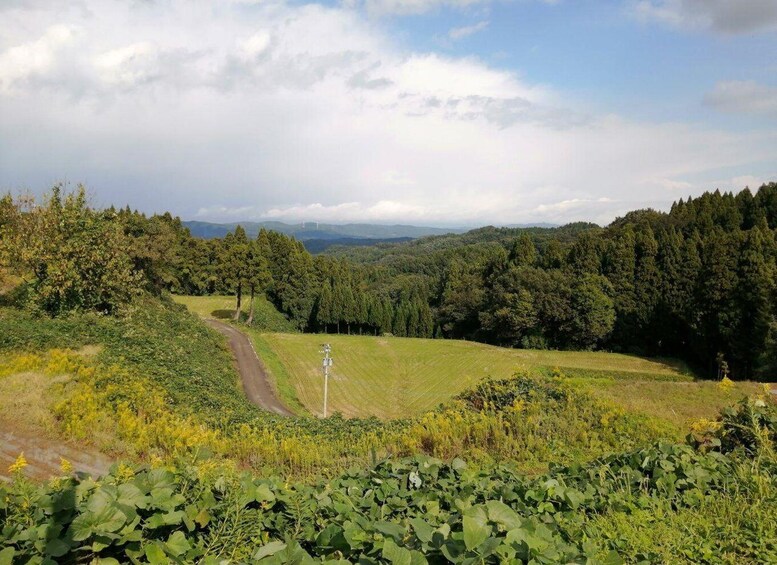 A winding road through a hilly landscape with dense forests and open fields. 2