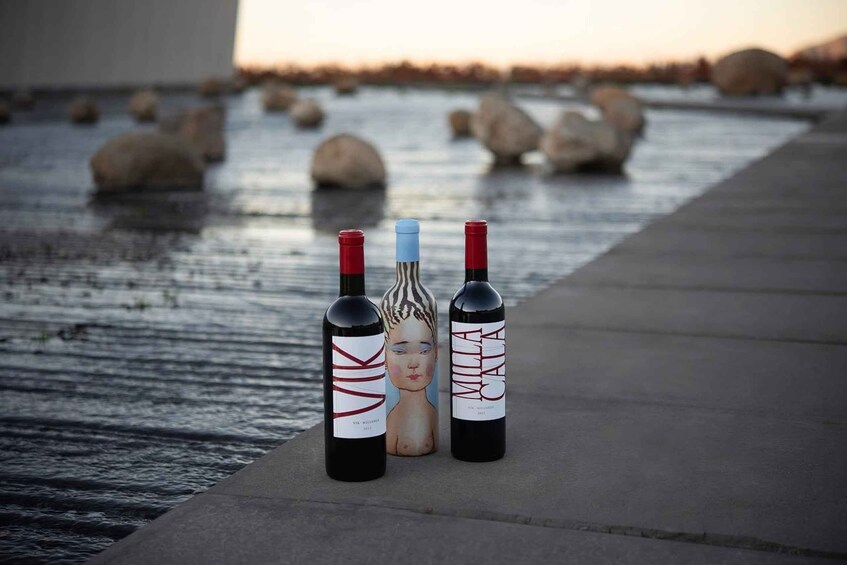 Three wine bottles on a concrete surface near a body of water with rocks in the background. 5